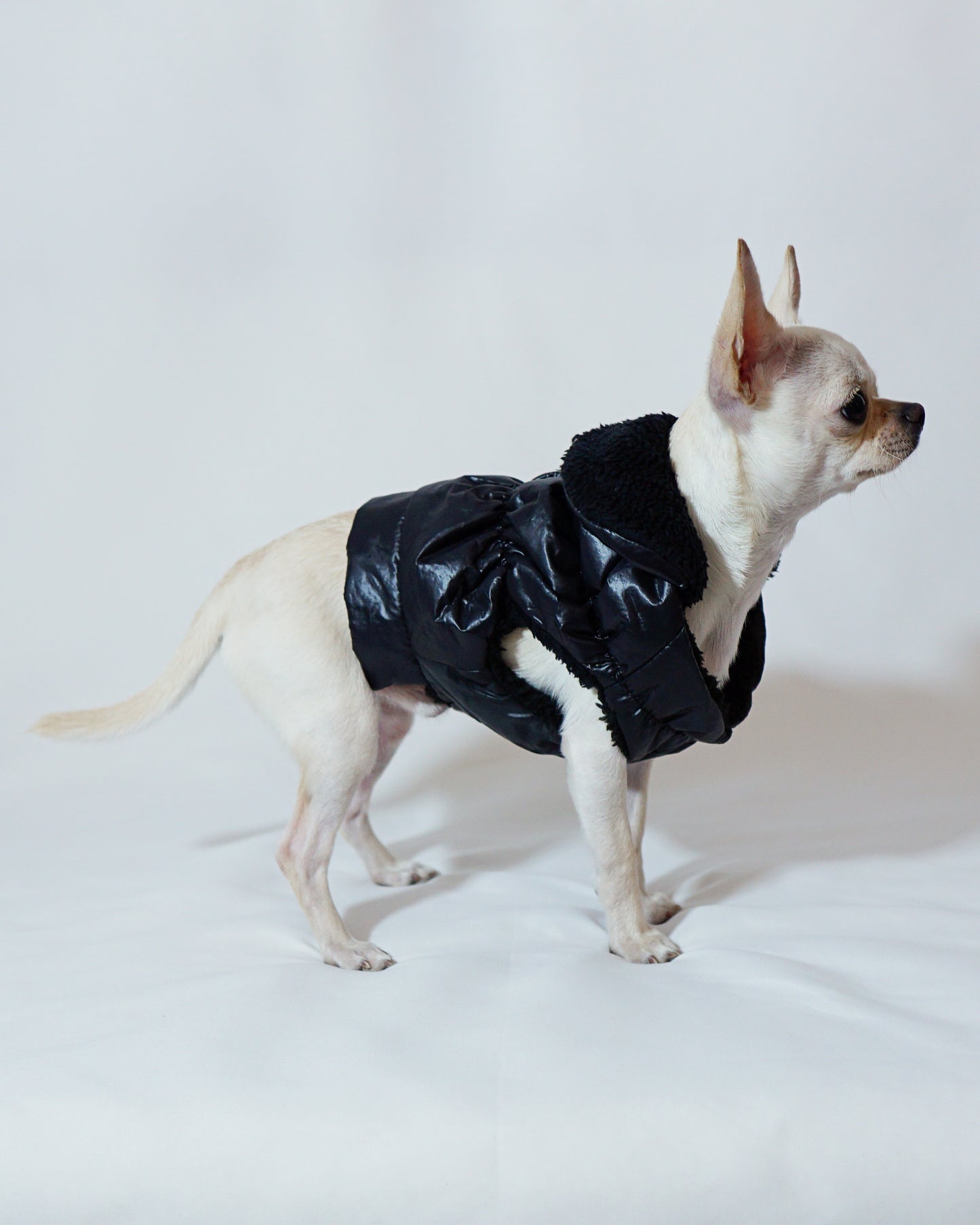 Black Puffer Coat