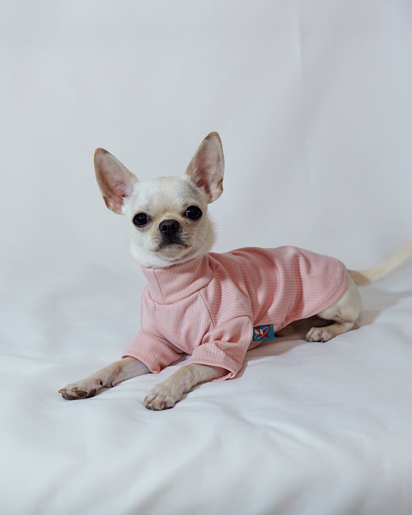 Pink Long Sleeve Shirt