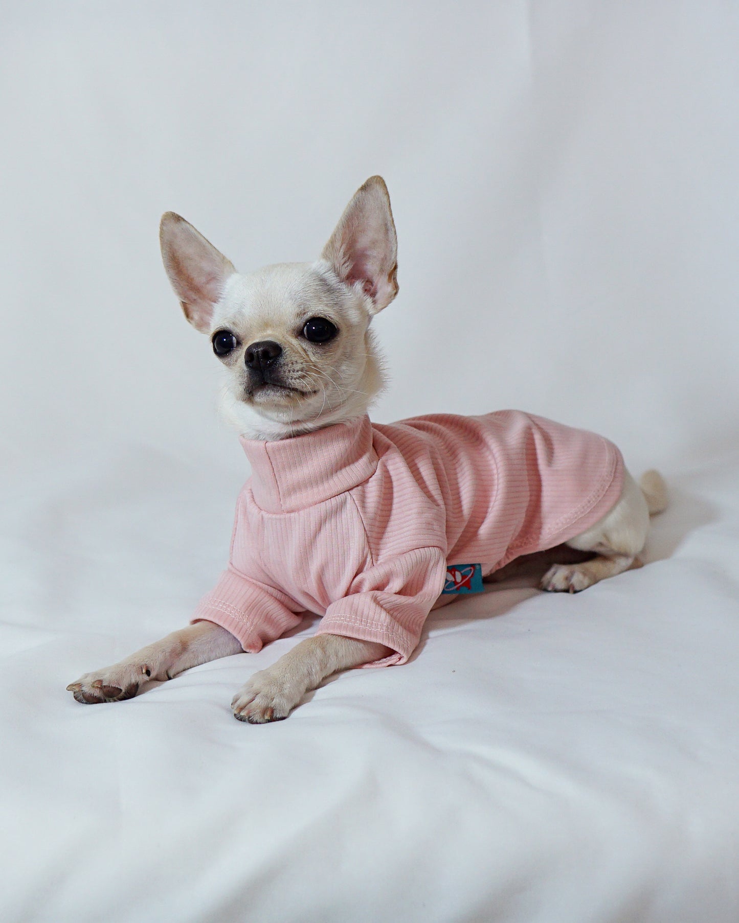 Pink Long Sleeve Shirt