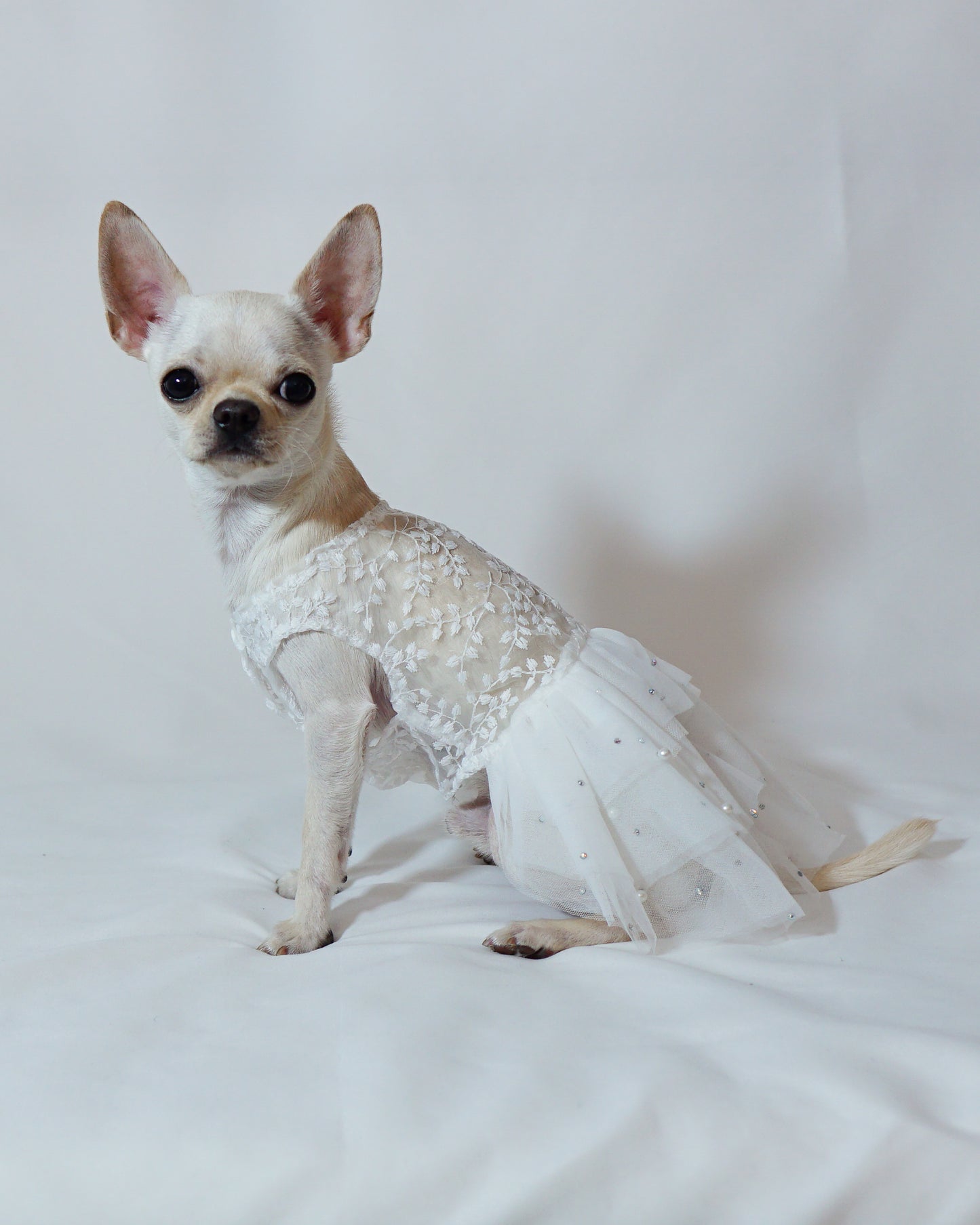 White Formal Dress