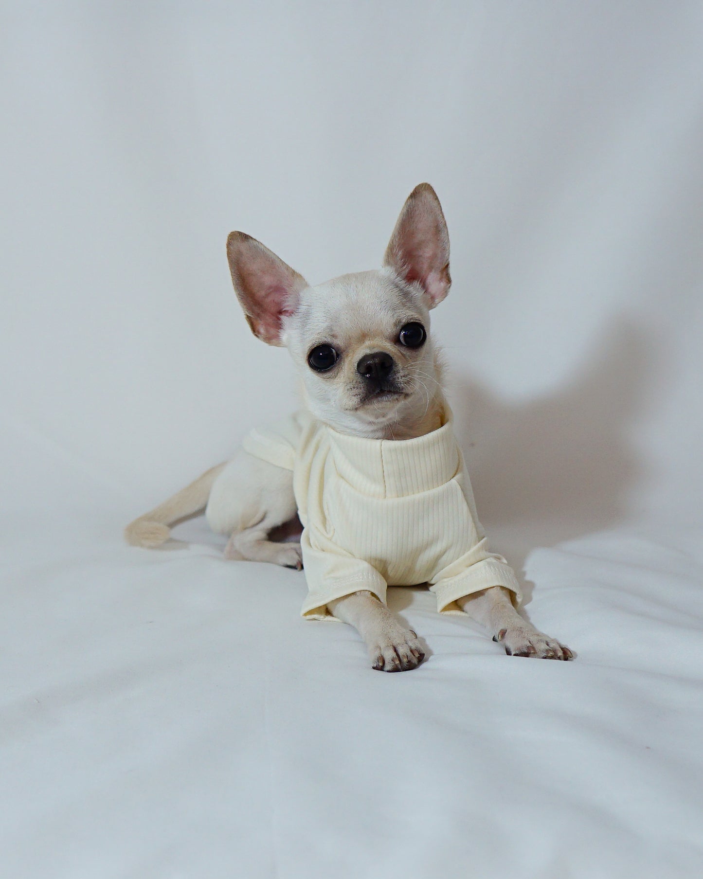 Ivory Cream Long Sleeve Shirt