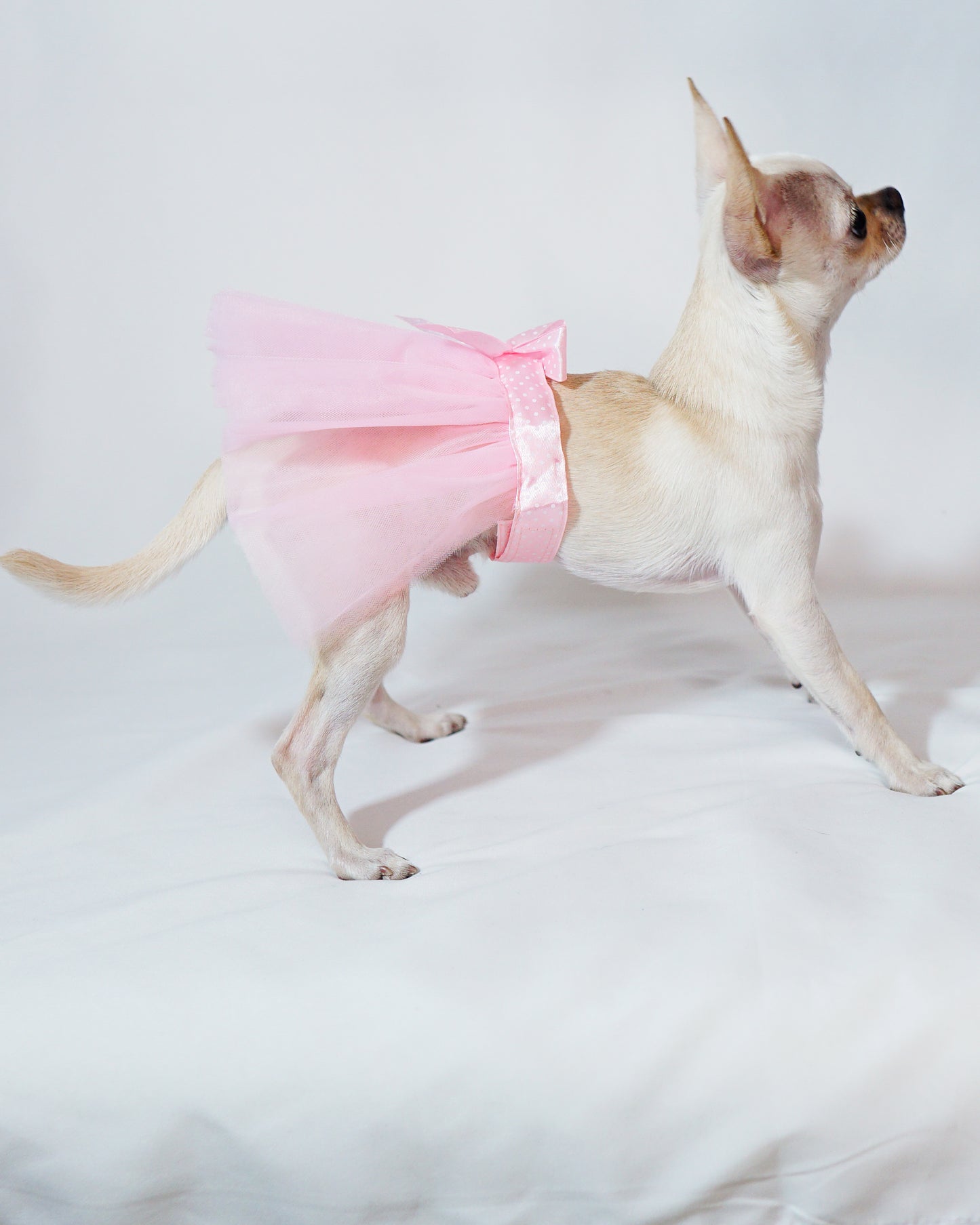 Pink Tulle Skirt