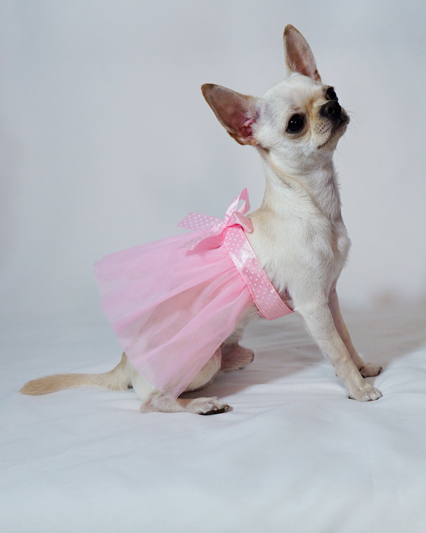 Pink Tulle Skirt