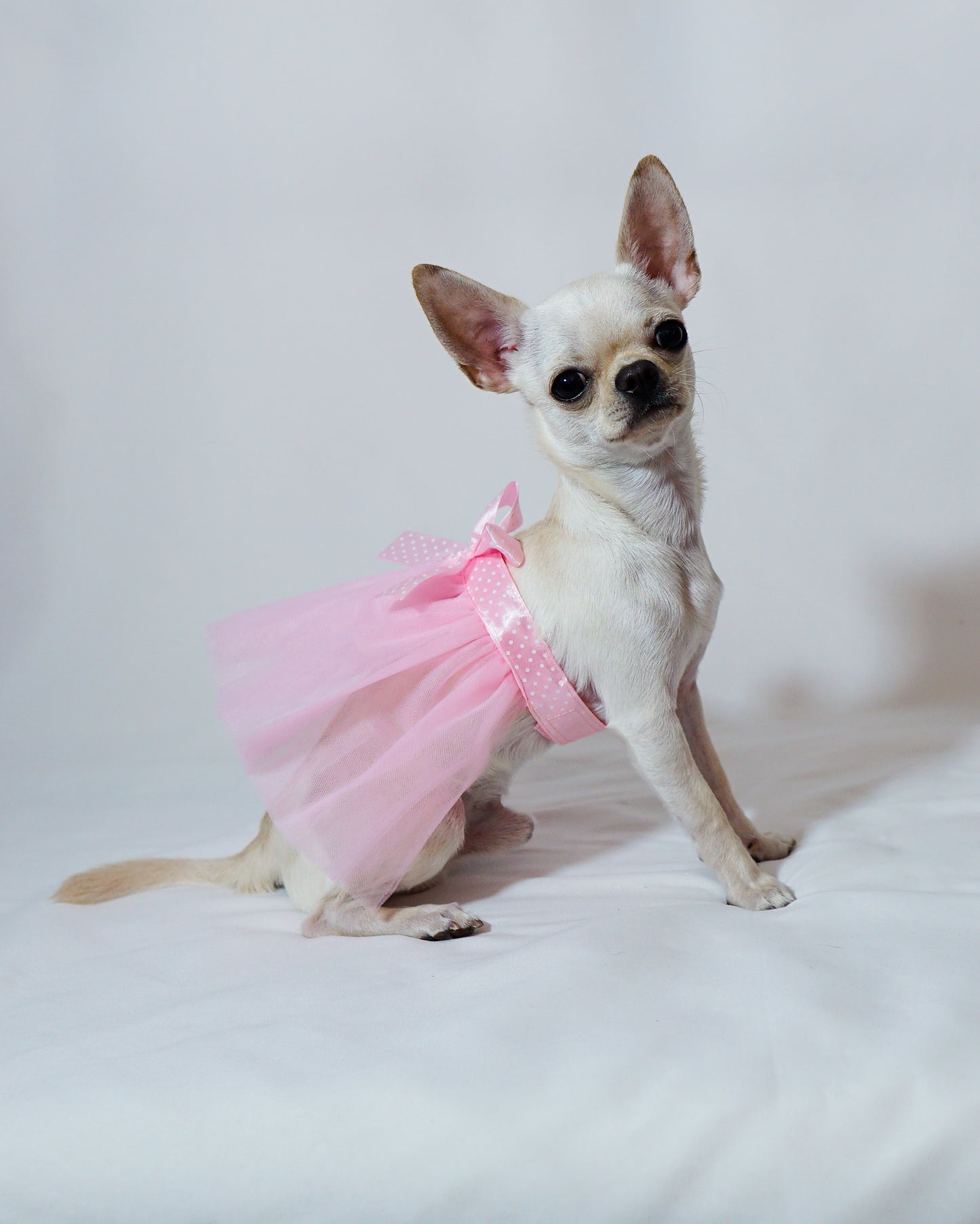 Pink Tulle Skirt