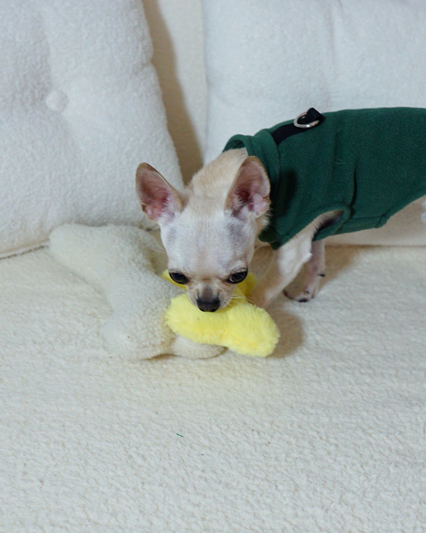 Bright Yellow Medium Bone Toy