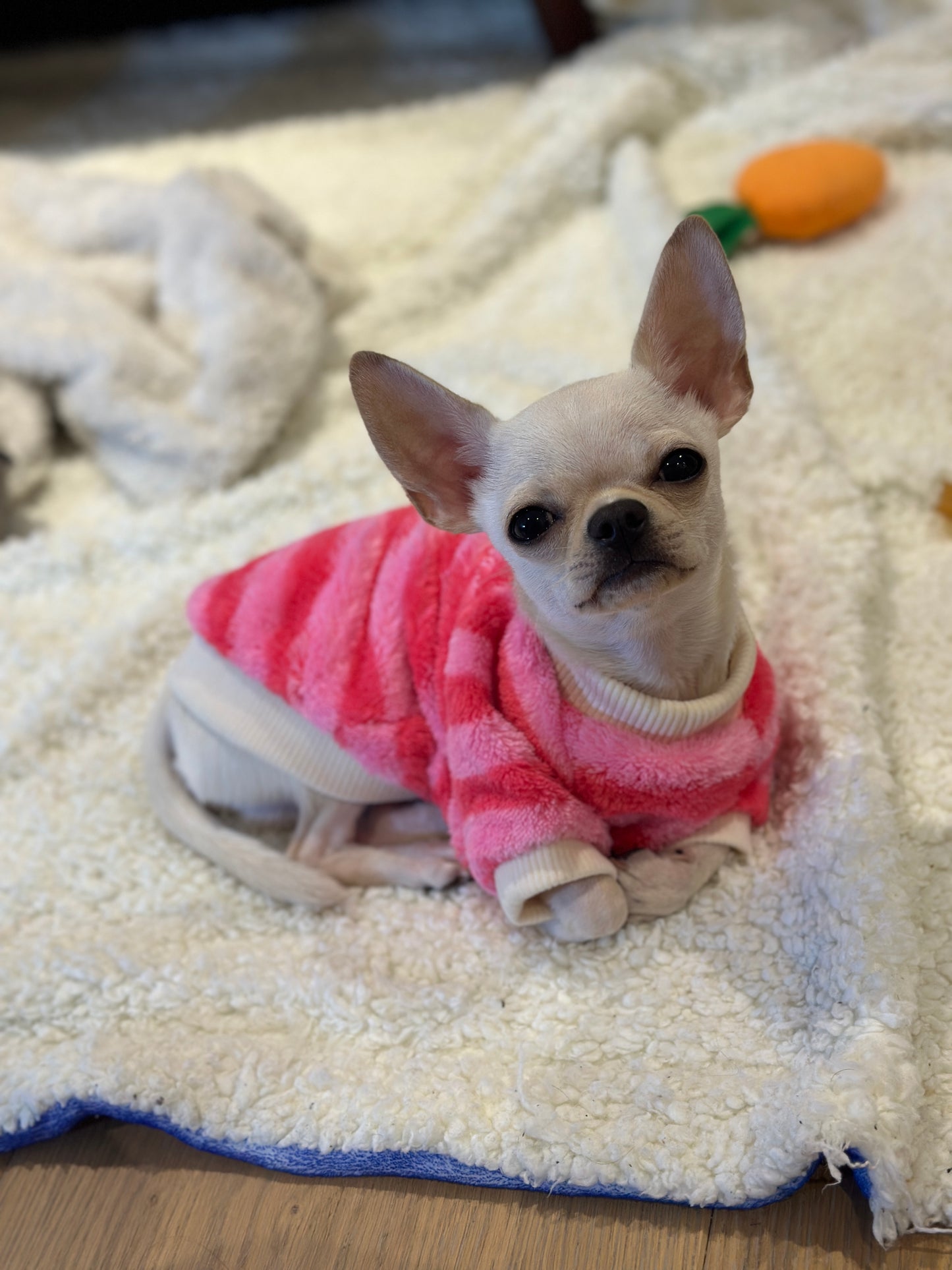 Pink & Red Striped Jumper