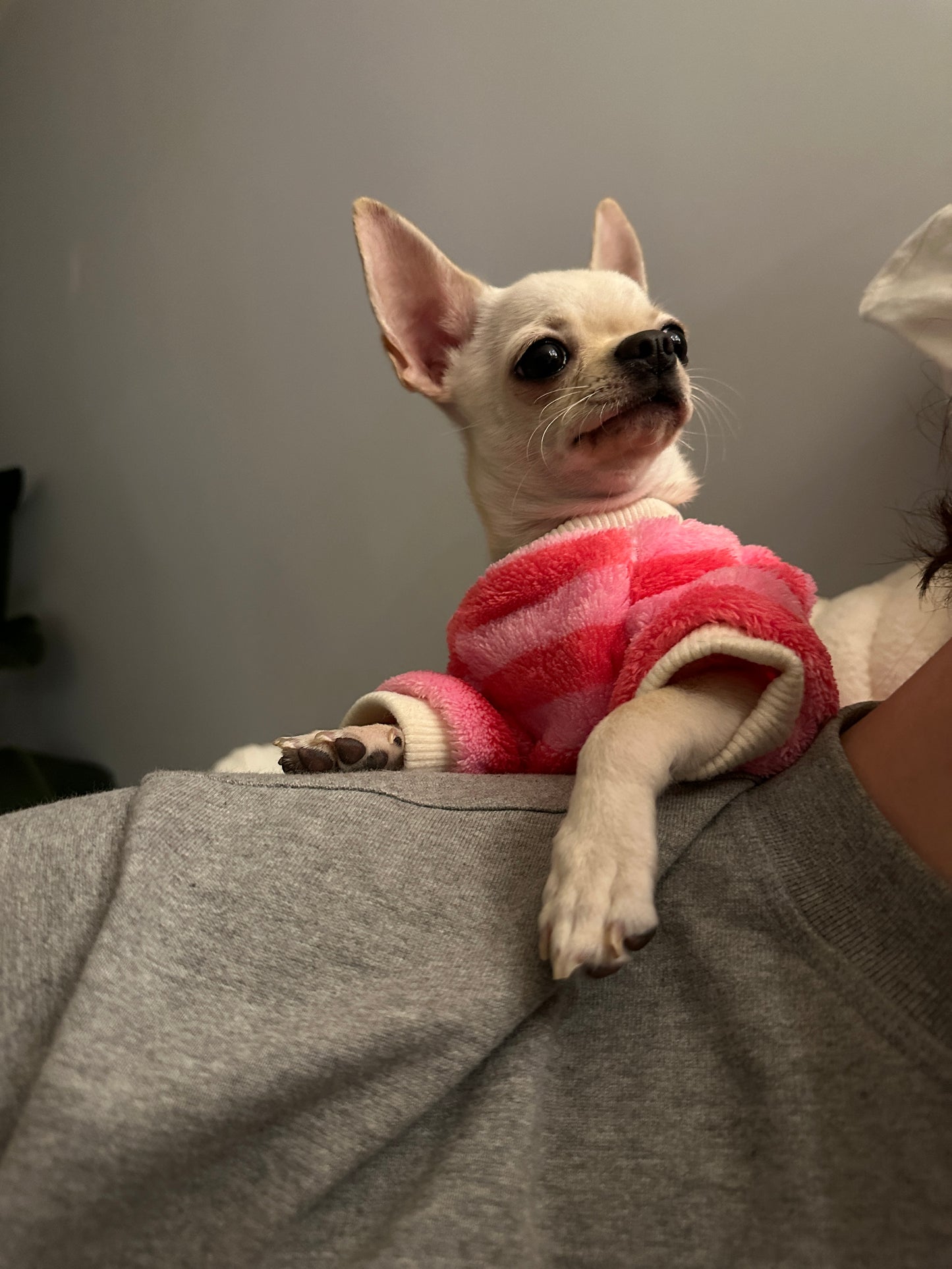 Pink & Red Striped Jumper