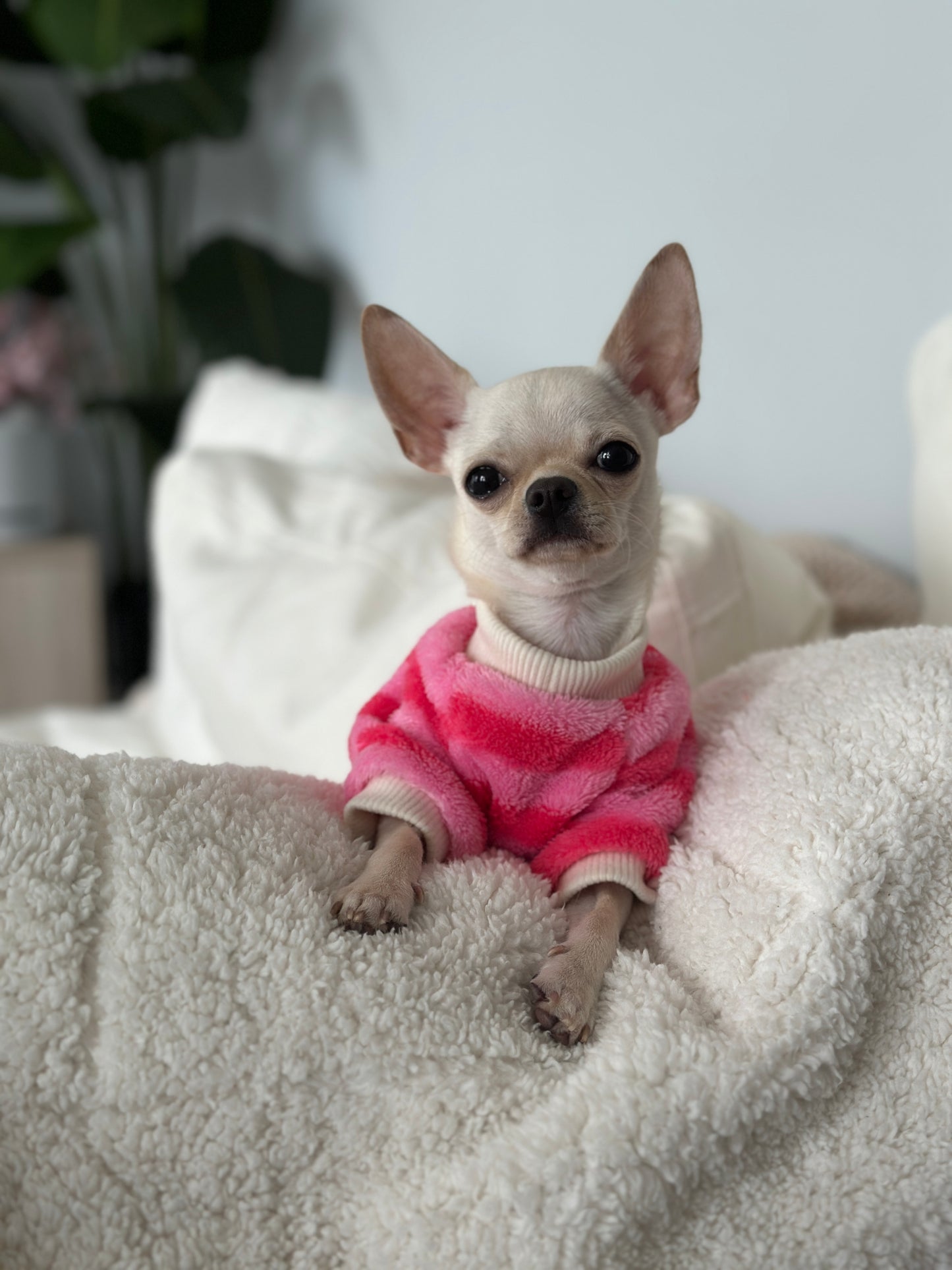 Pink & Red Striped Jumper