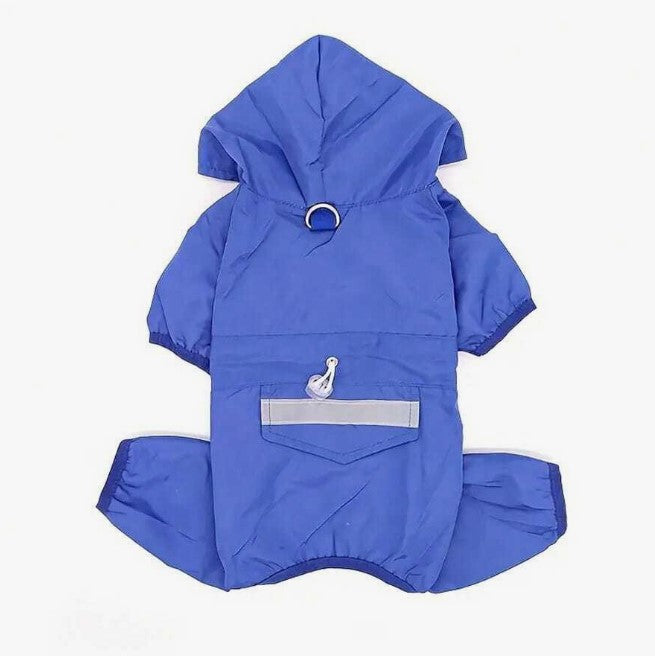 Blue Raincoat